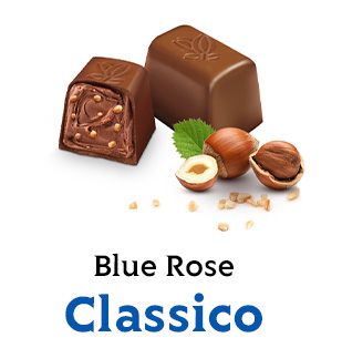 Blue Rose Classic